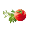 Mini Madeleines tomate herbes de Provence 100g - St Michel