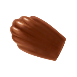 Madeleines nappées chocolat format familial (x48) 1200g - St Michel